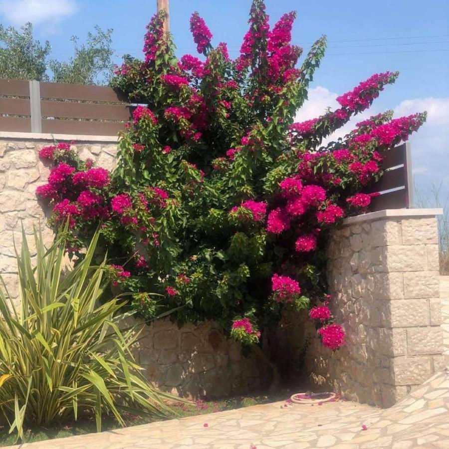 Spilios Apartment Nafplio Ngoại thất bức ảnh